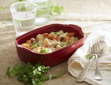 Маленькая форма для запекания 22 x 14,5 х 5,5 см, бордовая Emile Henry