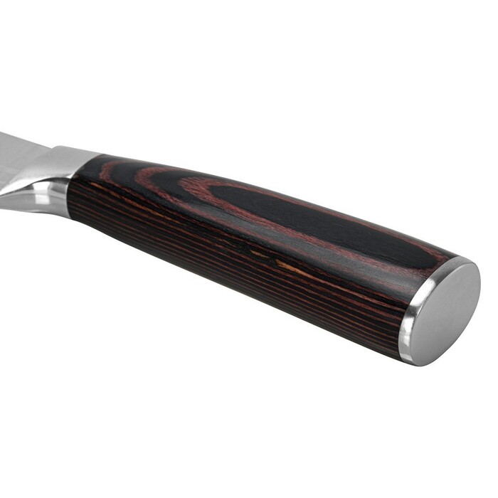 Нож Fissman гастрономический RAGNITZ 20 см X50CrMoV15 сталь (2825)