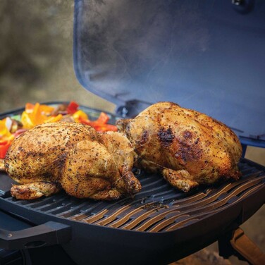 Газовый портативный гриль Napoleon TravelQ TQ285-BK-1-СЭ Код: 008063