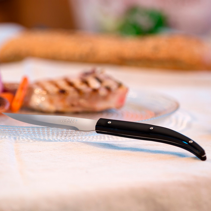 373300 Ніж для стейку, 110 мм