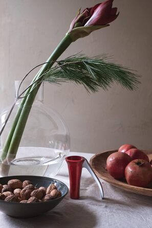 Горіхокол червоний Drosselmeyer