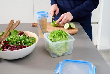 Набір контейнерів для зберігання продуктів EMSA Clip & Close, прямокутні, 5 x 0,8 л, коробки для зберігання, 100 герметичні, придатні для миття в посудомийній машині, морозильної камери та мікрохвильової печі, прозорі, сині, зроблені в Німеччині, N10307 (