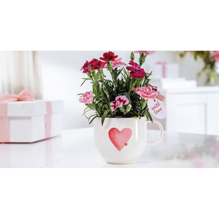 Колекція With Love