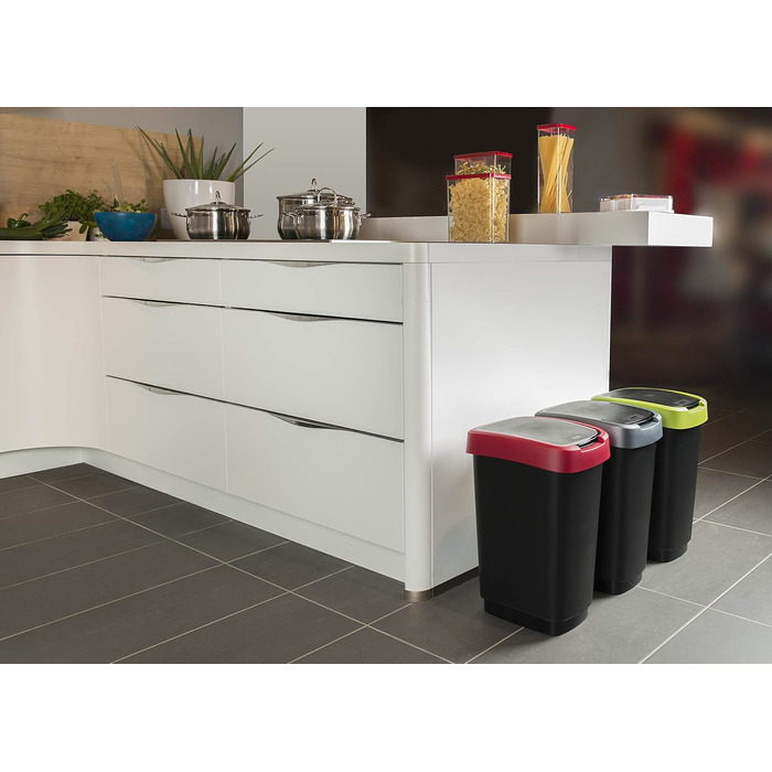 Сміттєвий бак з кришкою 50 л Rotho