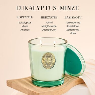 Ароматна свічка M&SENSE &quotЛісова хатина&quot, ароматичні свічки у склянці, натуральна соєва свічка, час горіння 55 годин, подарункові свічки для жінок та чоловіків, подарункова свічка (евкаліпт і м&39ята, 560 г)