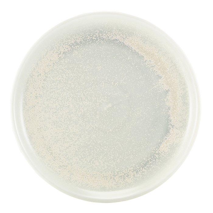 Тарелка круглая 27.5 см, Terra Porcelain Pearl, GenWare