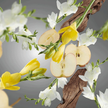 Диффузор Maison Berger Paris ICE CUBE с ароматом ANTI-ANIMAL FRUITY & FLORAL, 125 мл