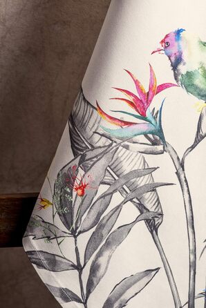 Набір із 3 кухонних рушників універсального призначення, 100 бавовна Барні рушники День подяки/Різдво (50 см x 70 см) (03 - Kitchen-Profiia, 50 x 70 см (набір із 3 шт.)), 39 Hermine Noel