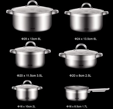 Набір каструль з нержавіючої сталі зі скляними кришками, 11 предметів DMS