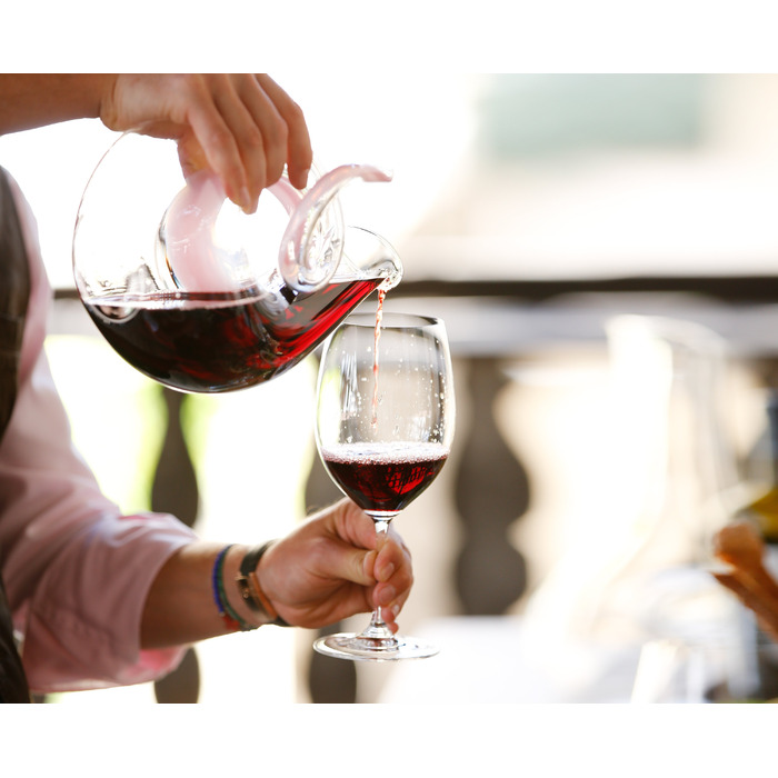 Набір з келихів для червоних вин з серветкою 3 предмети Vinum Riedel