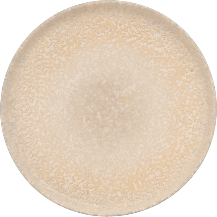 Тарілка мілка (низький борт) Ariane Rave 25 см DSEARN04YB11025