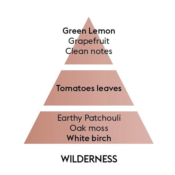 Дифузор Maison Berger Paris MINERAL BLACK AMBER + Наповнювач з ароматом WILDERNESS, 180 мл