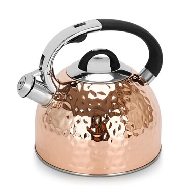 Чайник для кип'ятіння води Fissman NICOLE 2,5 л нержавіюча сталь (5966)