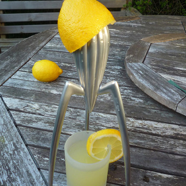 Соковижималка 14x29 см металік Juicy Salif Alessi