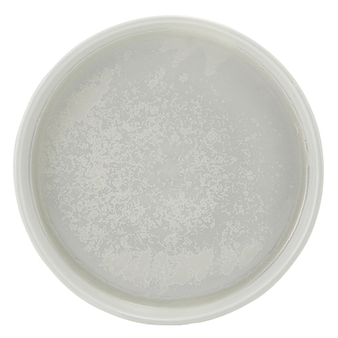 Тарелка презентационная 18*2.7 см с вертикальным бортом, Incise Porcelain Lucine, GenWare