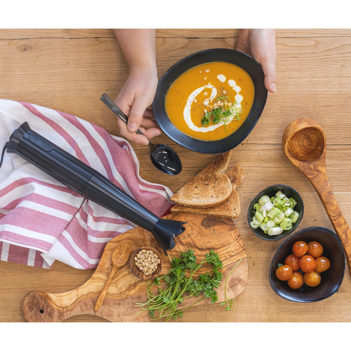 Блендер погружной черный Plissé Alessi