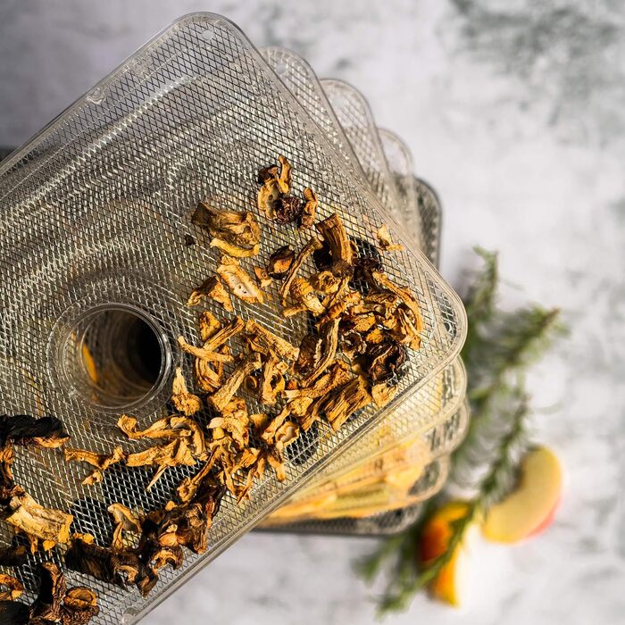 Дегідратор на 5 полиць, 240 Вт Wessper