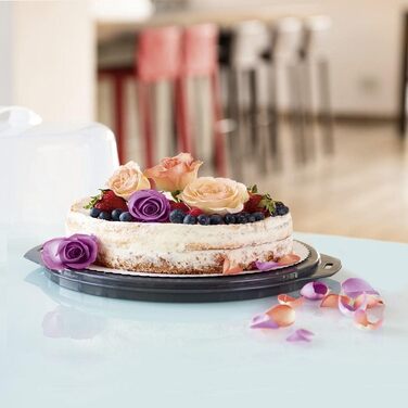 Контейнер для тортов переносной 35 x 31 x 14 см Xavax