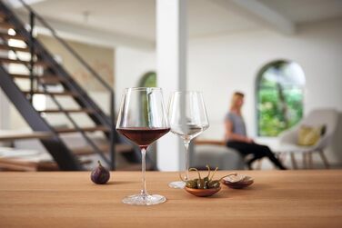 Келихи для рислінгу LEONARDO HOME PUCCINI (набір з 6 шт.) Келихи для вина, стійкі до подряпин (400 мл) Можна мити в посудомийній машині та довговічні Вічні келихи для білого вина Сучасний дизайн Келих для рислінгу Puccini 069540 6 келихів (Бордовий келих 