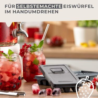 Форма для льоду з герметичною кришкою FACKELMANN