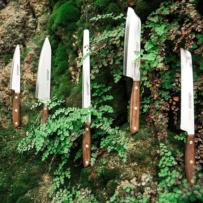 166700 Ніж для окорока 250 мм серія 'Nordika'