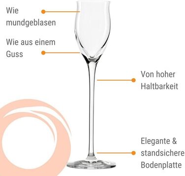 Набір із 6 чарок з ніжкою 65 мл, Quatrophil Stölzle Lausitz