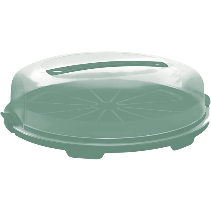 Контейнер для торта 35,5 x 34,5 x 11,6 см бірюзовий Rotho