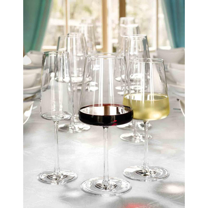 Набір з 12 келихів для червоного та білого вина, Power Stölzle Lausitz