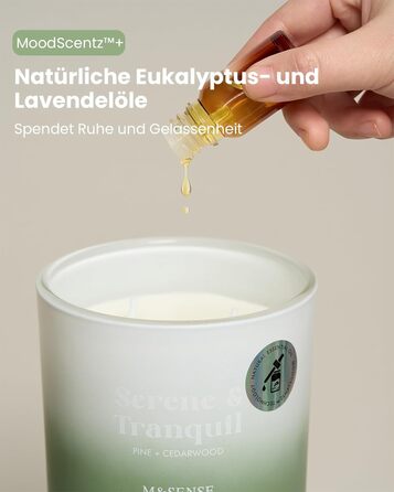 Ароматичні свічки з сосни та кедра в банці 400 г, час горіння 80 годин M&SENSE