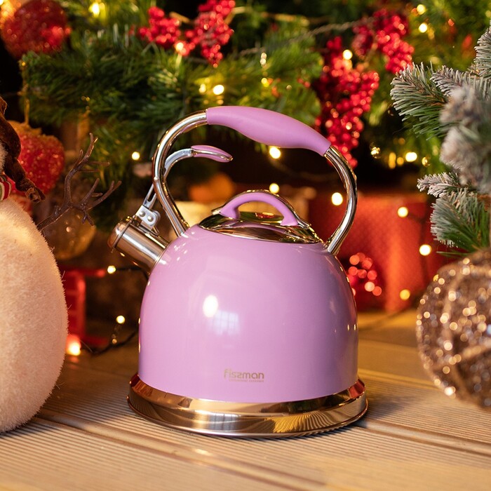 Чайник для плити Fissman зі свистком FELICITY 2,6 л (5960)