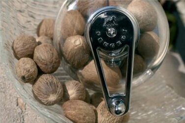 Млин мускатний горіх Tidore 11 см - З відсіком для зберігання - Акрил - Прозорий