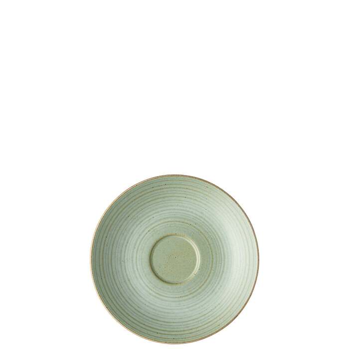 Блюдце до чашки для капучино 16 см, зелене Nature Leaf Thomas