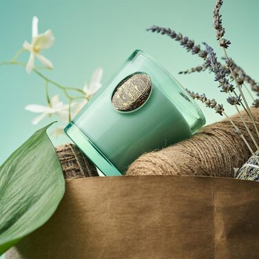 Ароматна свічка M&SENSE Лісова хатина, ароматичні свічки у склянці, натуральна соєва свічка, час горіння 55 годин, подарункові свічки для жінок та чоловіків, подарункова свічка (евкаліпт і м&39ята, 260 г)