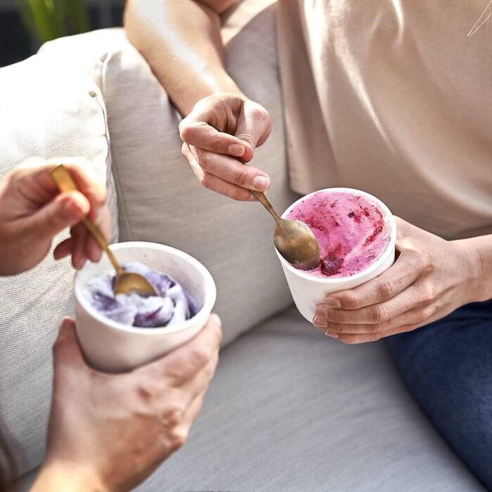 Набір з 2 контейнерів для морозива 1 л, контейнери для зберігання, морозильні банки, контейнери для льоду без бісфенолу А харчового класу (м'ята міні-набір з 4 шт. )