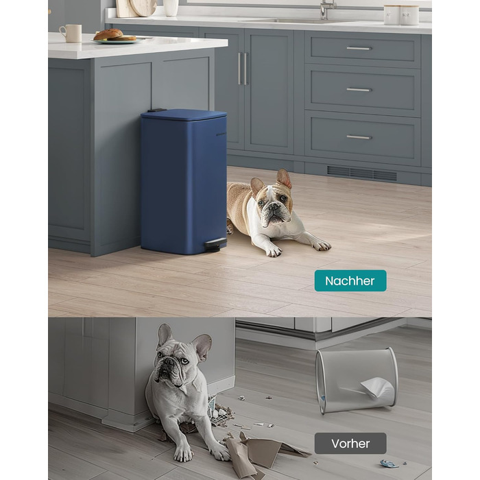 Сміттєвий бак 30 л північно-блакитний SONGMICS