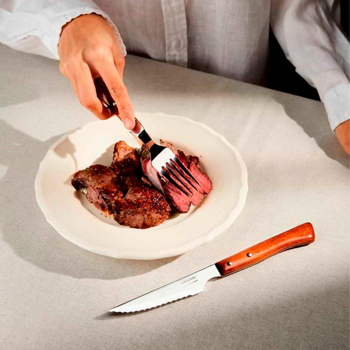 371500 Ніж столовий стейковий (дерев. ручка)