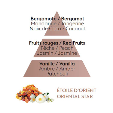 Дифузор Maison Berger Paris ICE CUBE з ароматом ORIENTAL STAR, 100 мл