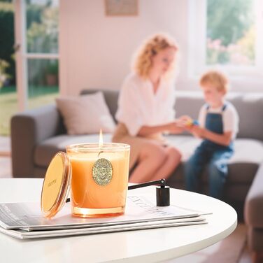 Ароматна свічка M&SENSE &quotЛісова хатина&quot, ароматичні свічки у склянці, натуральна соєва свічка, час горіння 55 годин, подарункові свічки для жінок та чоловіків, подарункова свічка (базилік-імбир, 260 г)