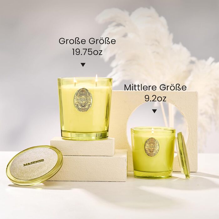 Ароматна свічка M&SENSE Forest Cabin, Ароматизовані свічки у склянці, Натуральна соєва свічка, Час горіння 55 годин, Подарункові свічки для жінок та чоловіків, Подарункова свічка (Сіетлський тропічний ліс, 560 г)