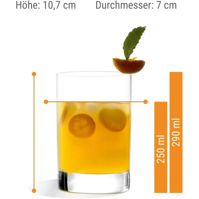 Набір із 6 склянок для води/соку 290 мл, New York Bar Stölzle Lausitz