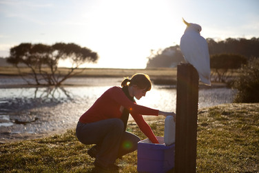 Термобокс 45 л Poly-lite Coleman