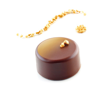 SQ055/YL Форма из резины