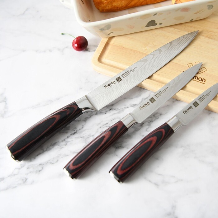 Нож Fissman гастрономический RAGNITZ 20 см X50CrMoV15 сталь (2825)