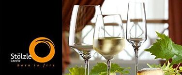 Келих для шампанського 230 мл, набір 6 предметів, Stölzle Lausitz