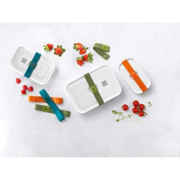 Эластичные ленты для лач-боксов, 3 шт. разноцветные Dino Zwilling