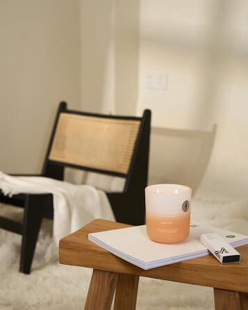 Ароматичні свічки M&SENSE Сосна та кедр у банці, велика соєва свічка 400 г з двома гнітами, час горіння 80 годин, ароматерапевтична свічка для йоги, спа та медитації. Подарунок для дівчини, дружини або матері. Сосна та кедр (апельсин та грейпфрут)