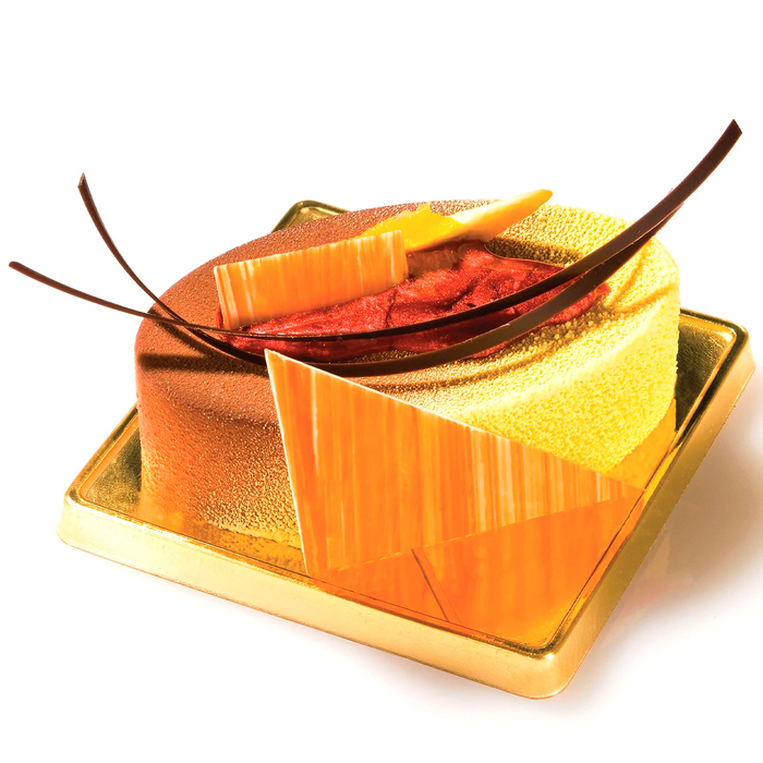 SF111/C Форма из резины