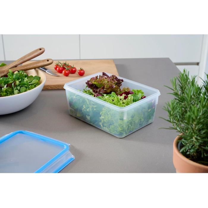 Набір контейнерів для зберігання продуктів EMSA Clip & Close, прямокутні, 5 x 0,8 л, коробки для зберігання, 100 герметичні, придатні для миття в посудомийній машині, морозильної камери та мікрохвильової печі, прозорі, сині, зроблені в Німеччині, N10307 (