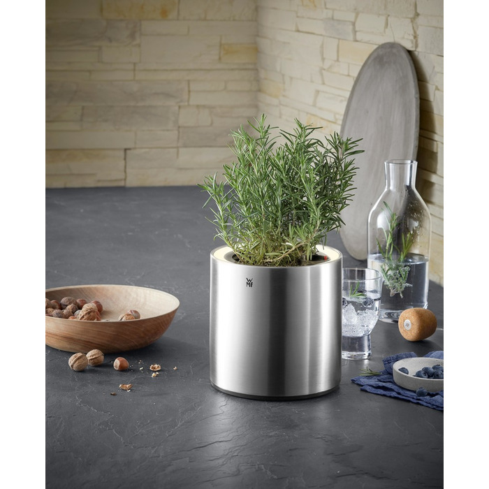 Колекція Ambient от WMF