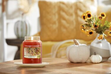 Ароматична свічка у склянці Yankee Candle